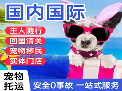 包头东河机场空运国际宠物托运 【国